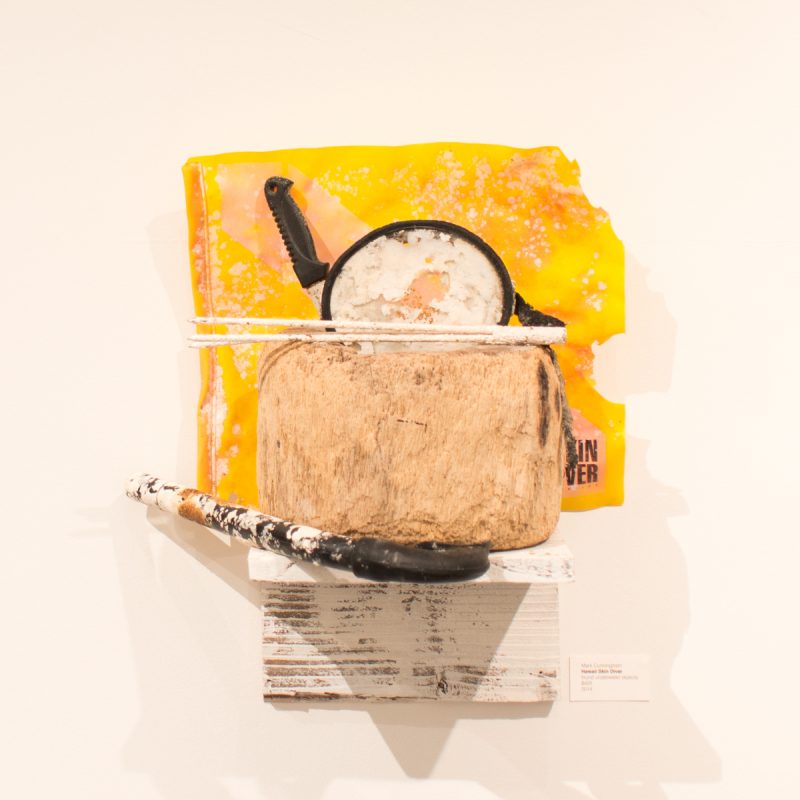 Hawaii Skin Diver The Great Highway Outer Sunset Art Gallery in San Francisco